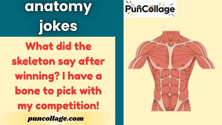 anatomy jokes