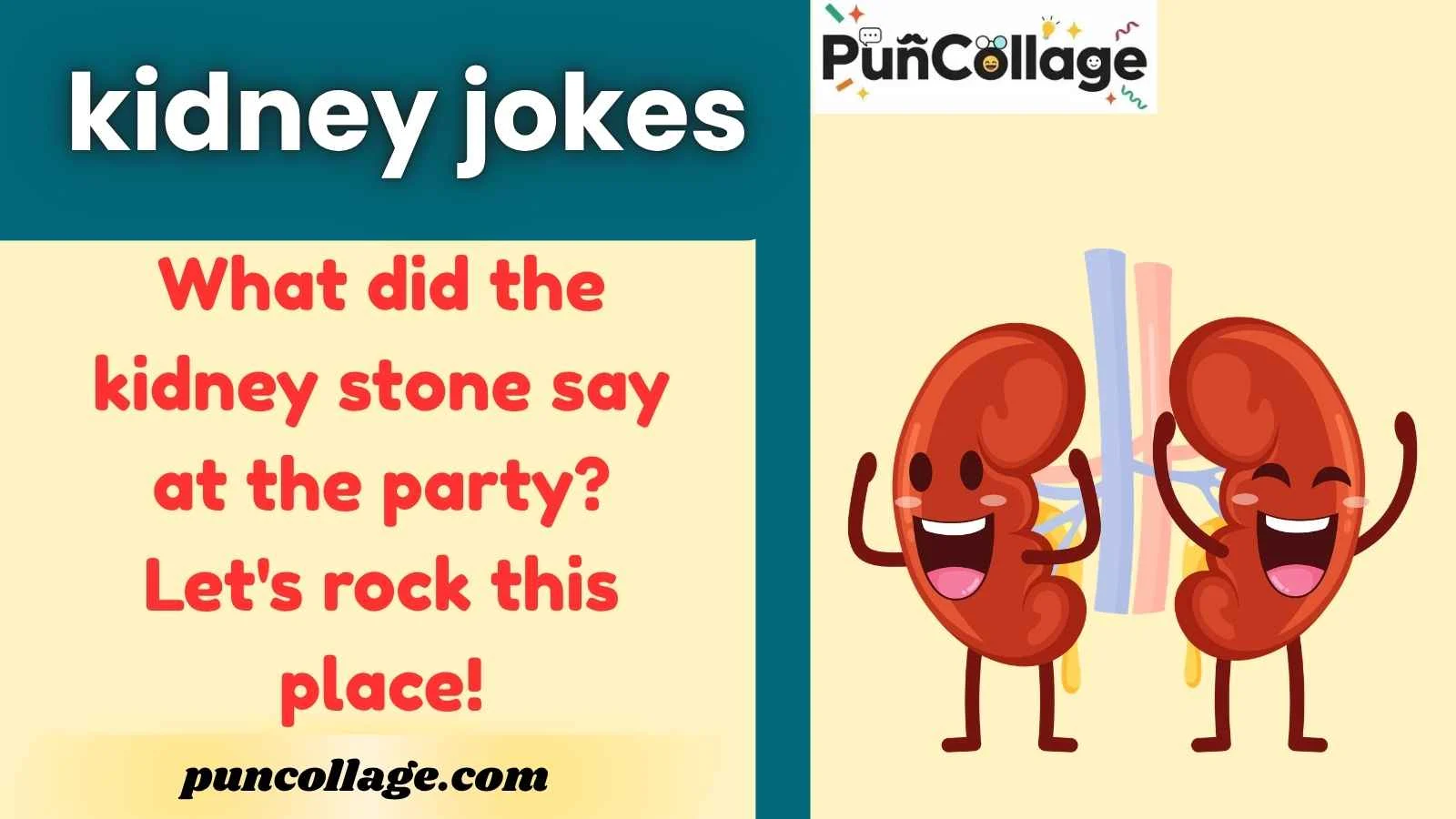 kidney jokes